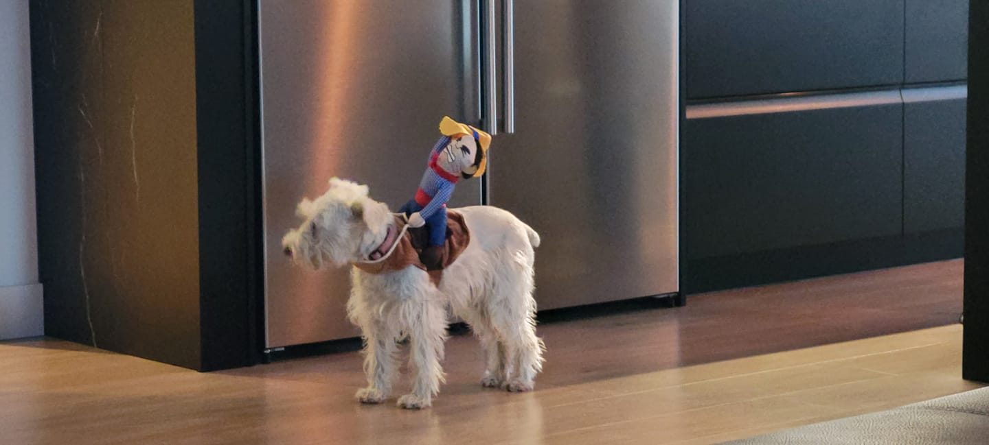 Customer photo review of PEASY (Stress, Anxiété, Nervosité) pour chiens et chats