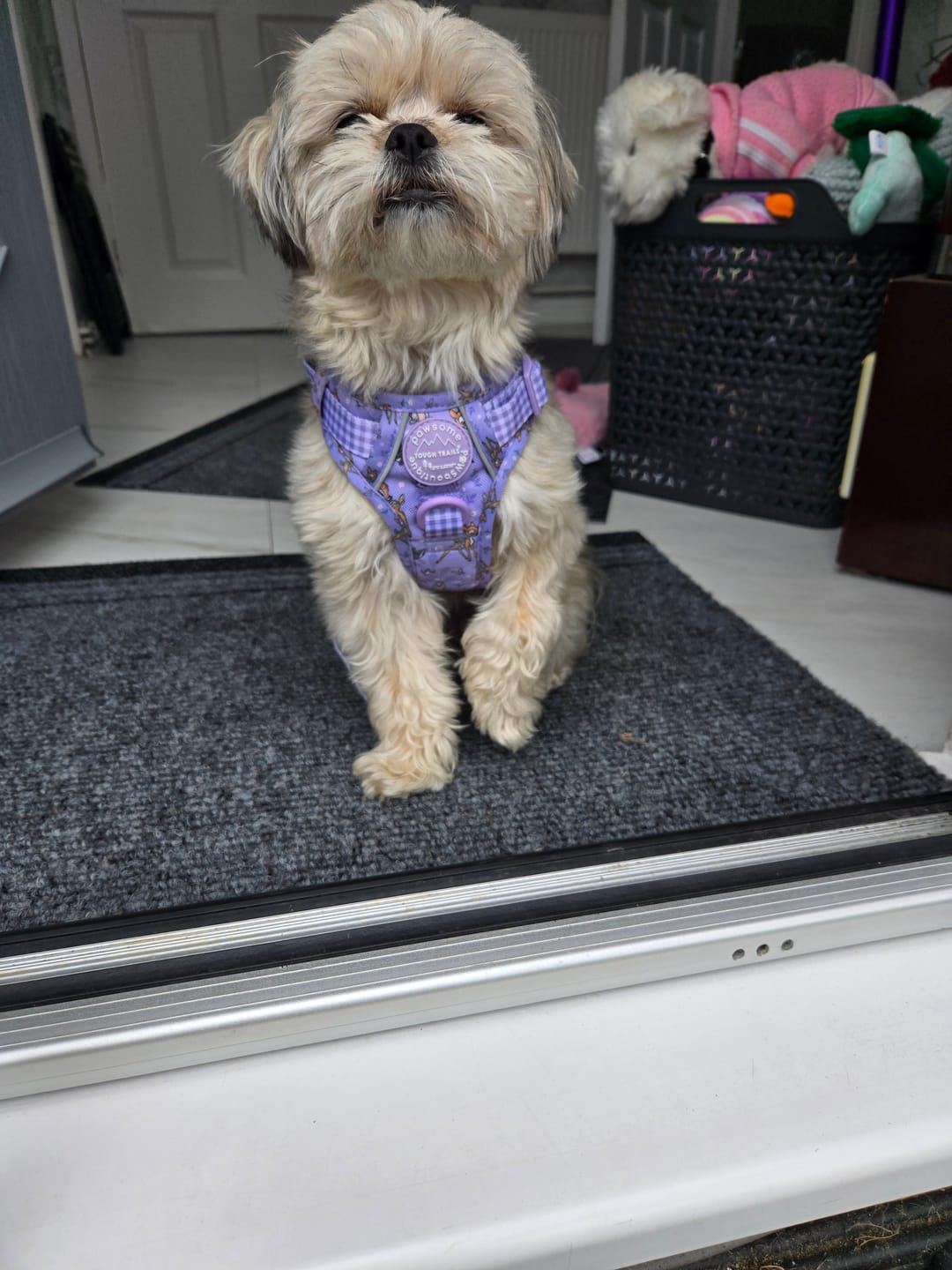 Customer photo review of Disney© Tough Trails™ Harness - Bambi + Friends Lilac