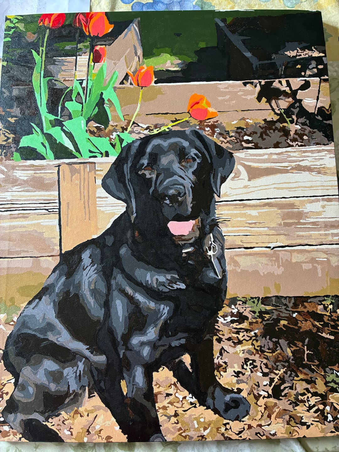 Customer photo review of Custom Paint By Numbers Kit