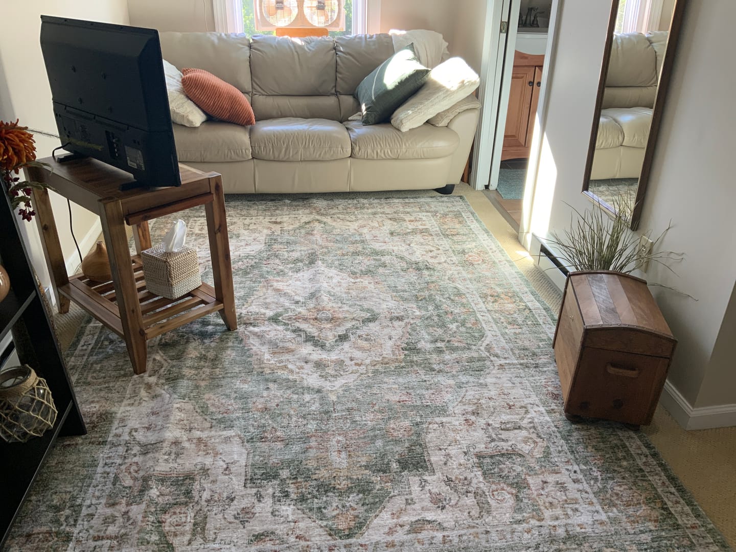 Customer photo review of Selene Washable Area Rug - Green