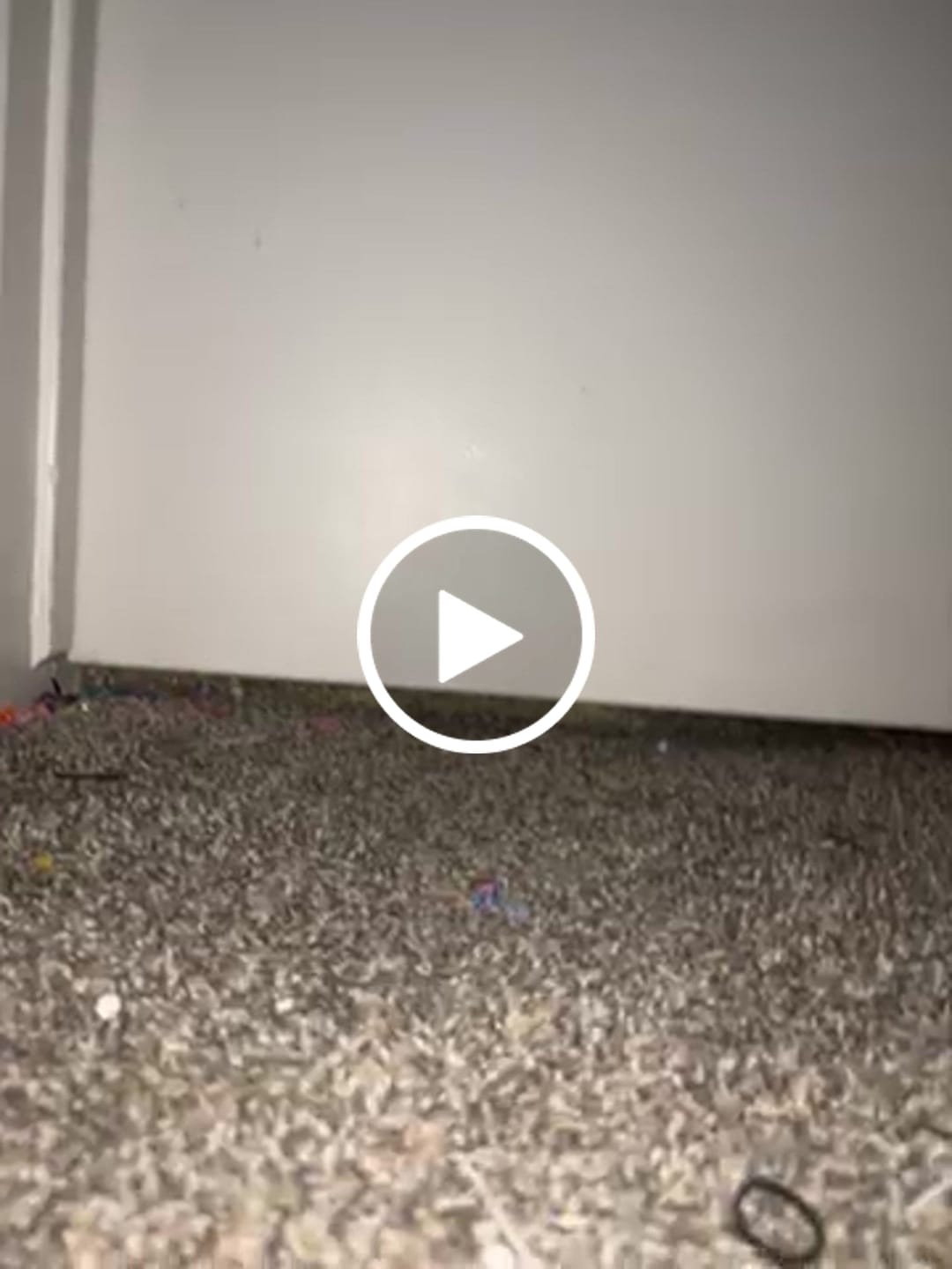 Customer video review of Rain World - Saint Slugpup Plush