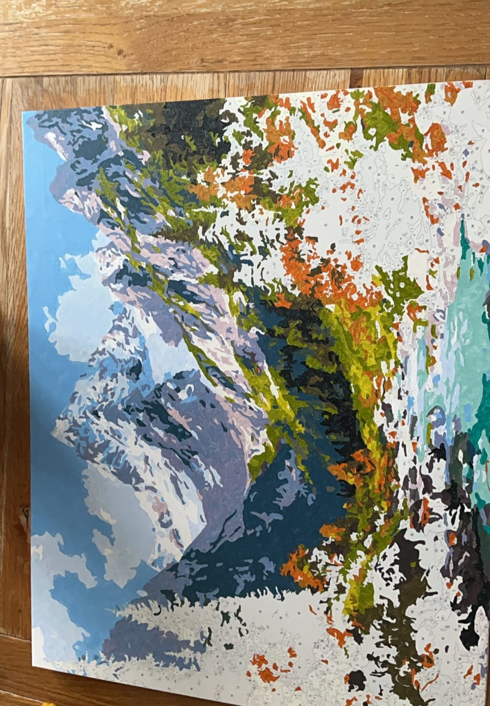Customer photo review of Source of nature | Paint by Number
