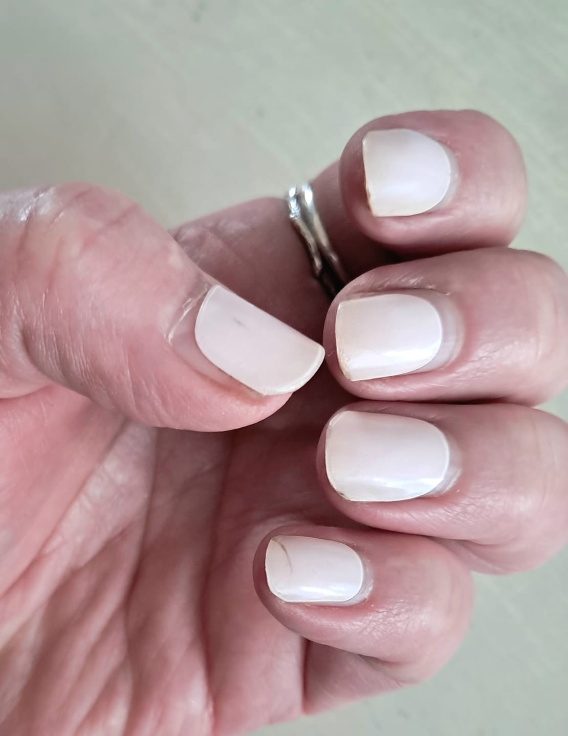 Customer photo review of Marshmallow