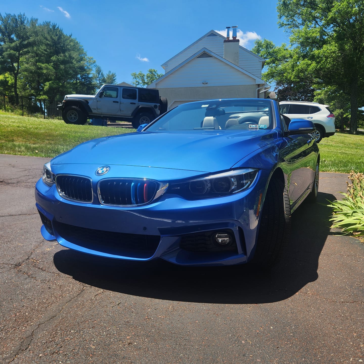 Customer photo review of SPCRSO M-Colored Tri Grille Insert Trim Strips for BMW 4 Series F32 F33 F36 (2014-2018) | Compatible with 9-Beam Black Curved Grilles | Easy Clip-on Installation