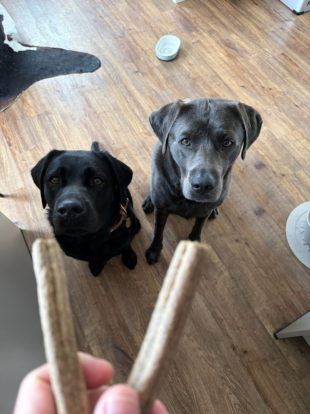 Customer photo review of Kräuter Dentals für Hunde zur Zahn- und Darmpflege (150g)