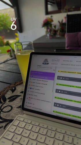Recenzie cu fotografie de la un client despre Audiobook – Eseuri Audio BAC Română (temă și viziune, caracterizare, relație) + Quiz-uri