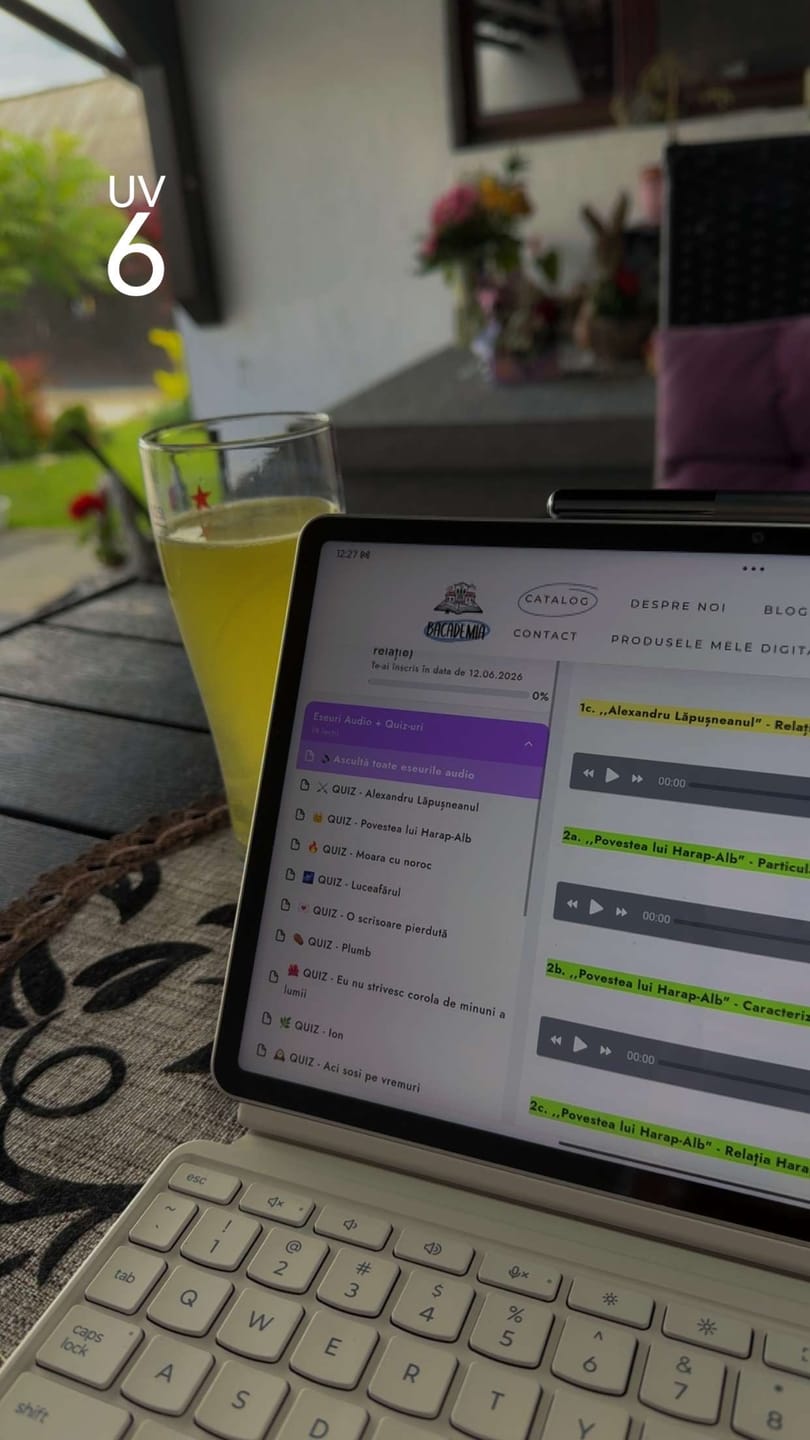 Customer photo review of Audiobook – Eseuri Audio BAC Română (temă și viziune, caracterizare, relație) + Quiz-uri