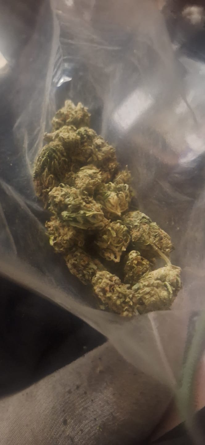Customer photo review of Green Crack - 28 Grams - Sativa