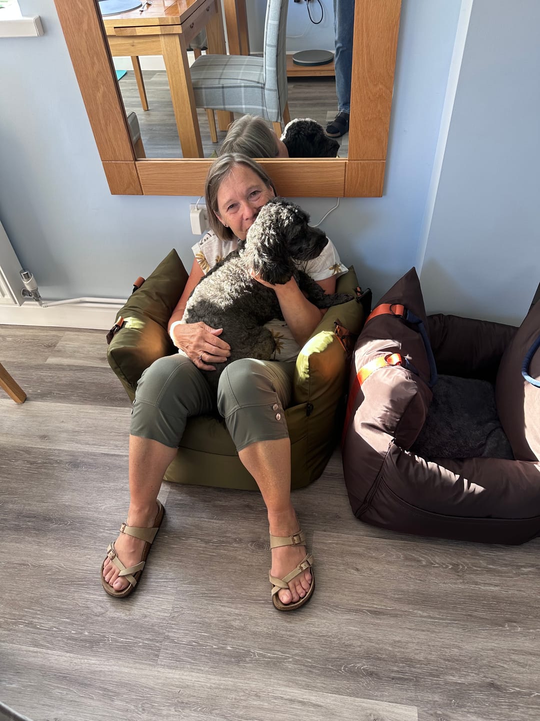 Customer photo review of Travel Dog Pod - Now With IsoFix