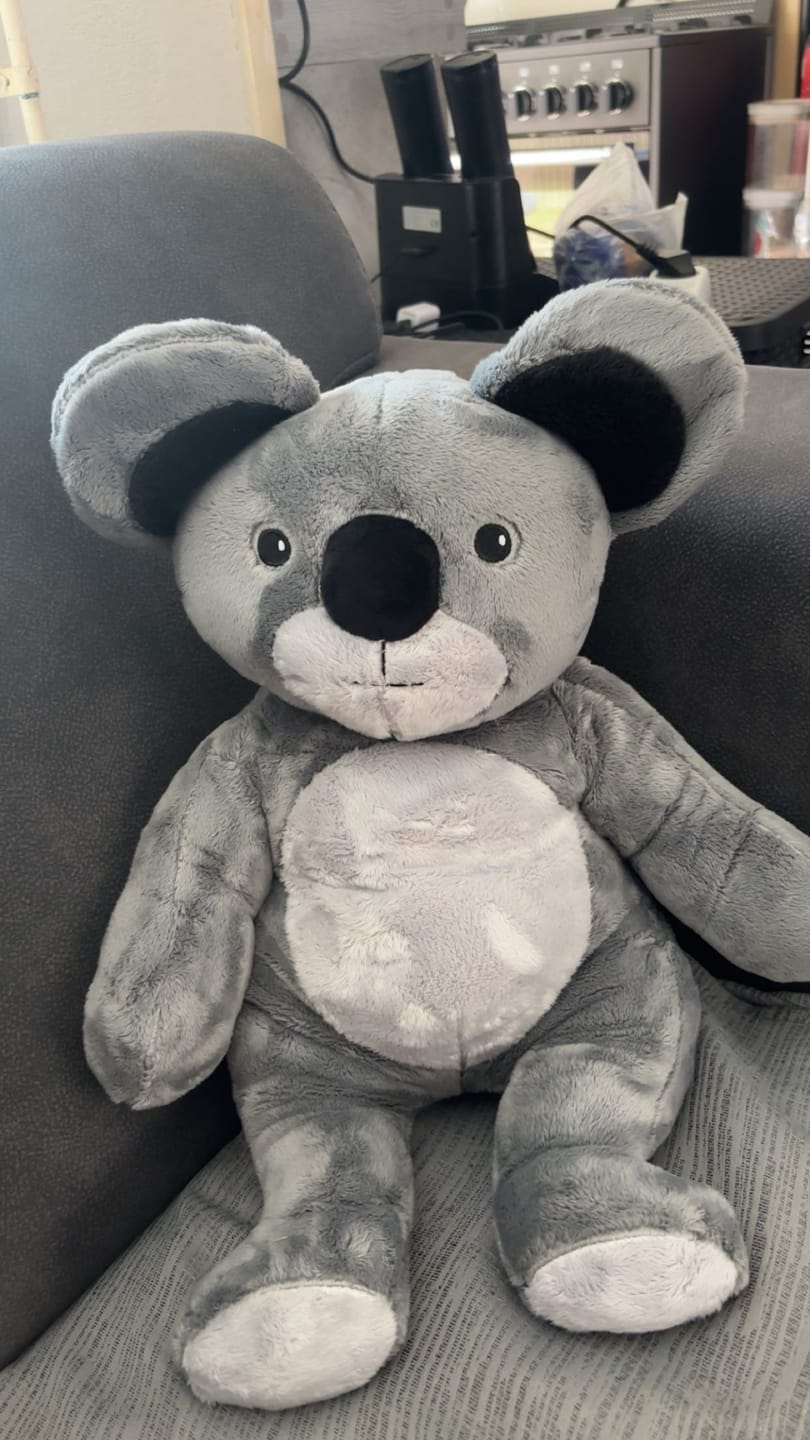 Customer photo review of Lotgenootje Koala 2kg