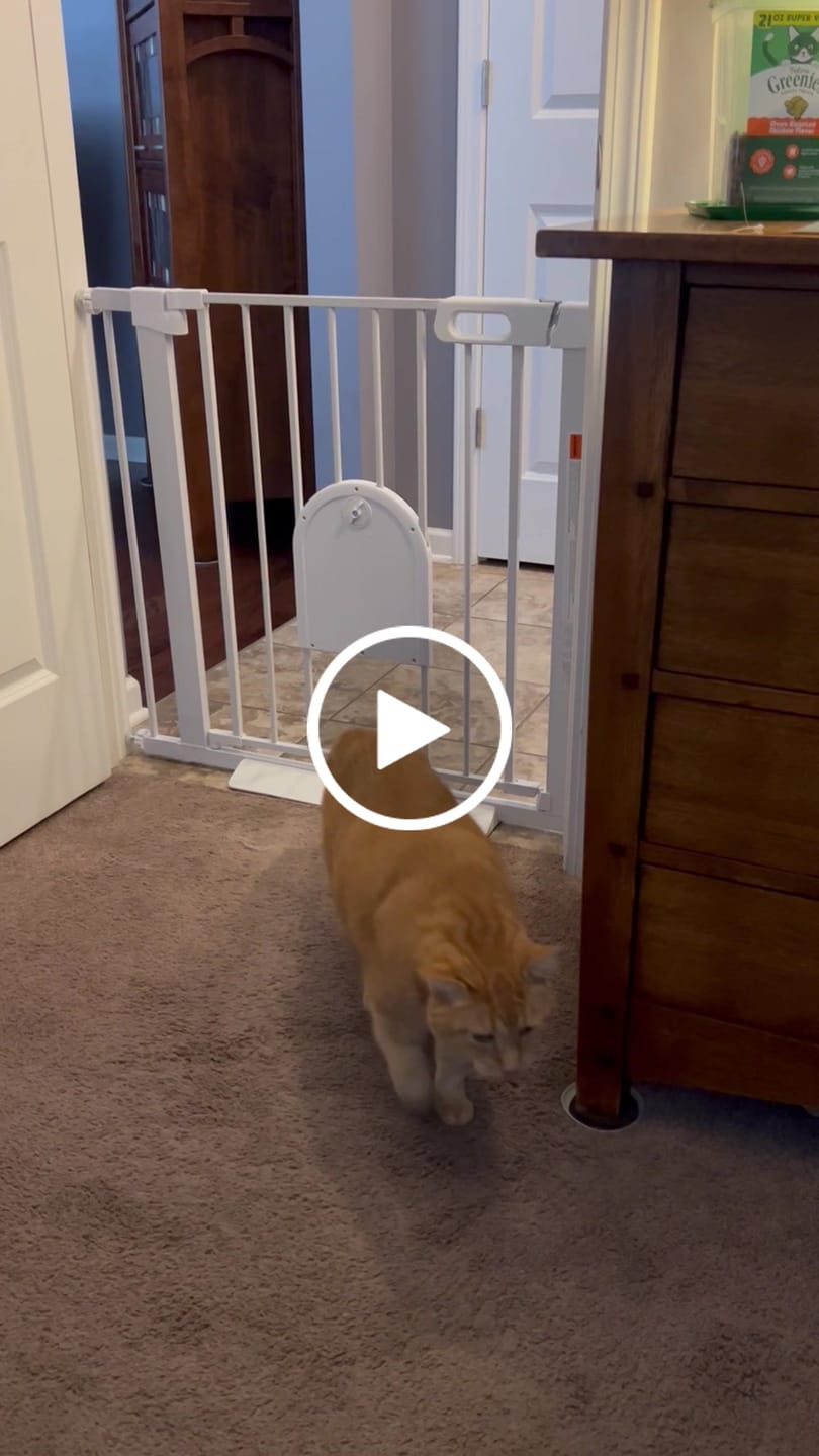 Customer video review of FairyBaby Premium Quality Baby Gate with Cat Door