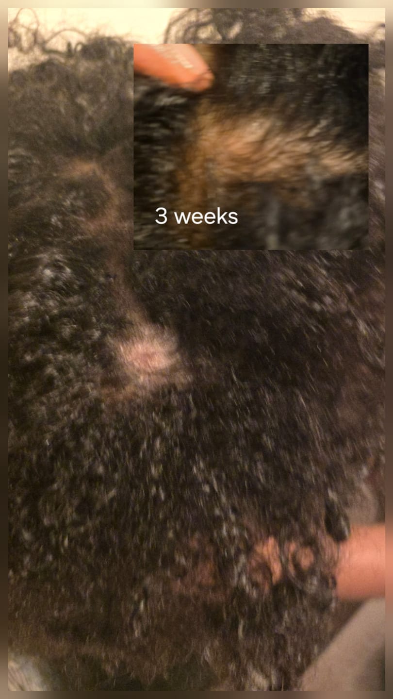 Customer photo review of Botanic Detangling Brush