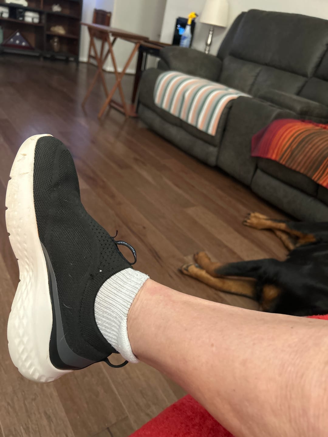 Customer photo review of Solid Essentials Ankle Compression Socks 5-Pack Bundle