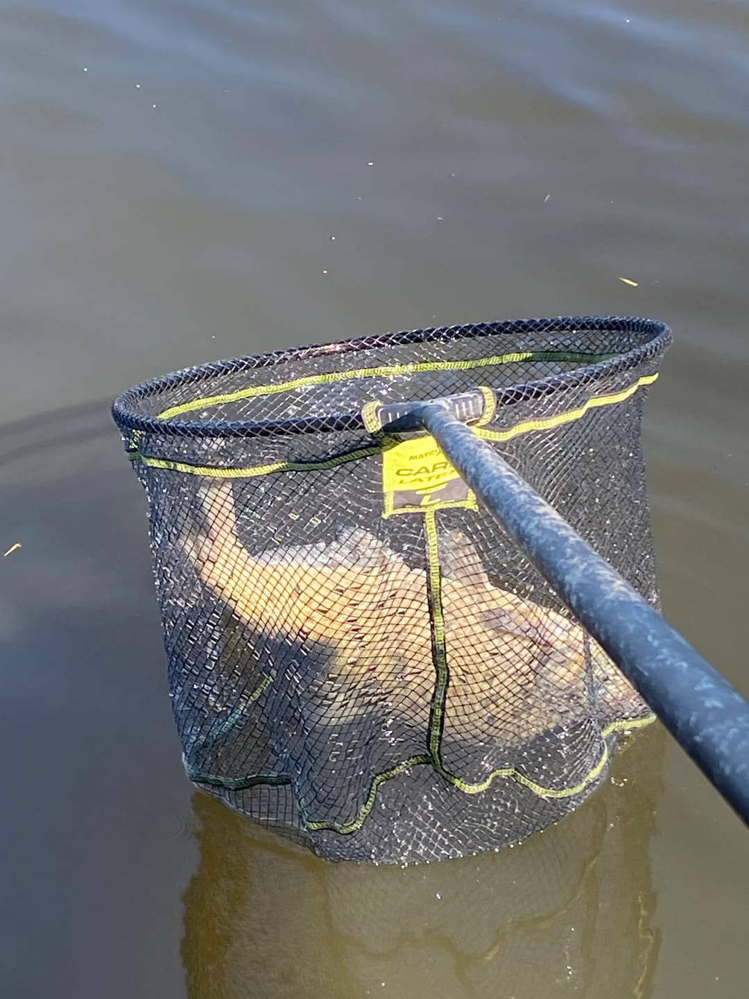 Customer photo review of POWERFULLY THICK SENSATE FISH ACCELERANT