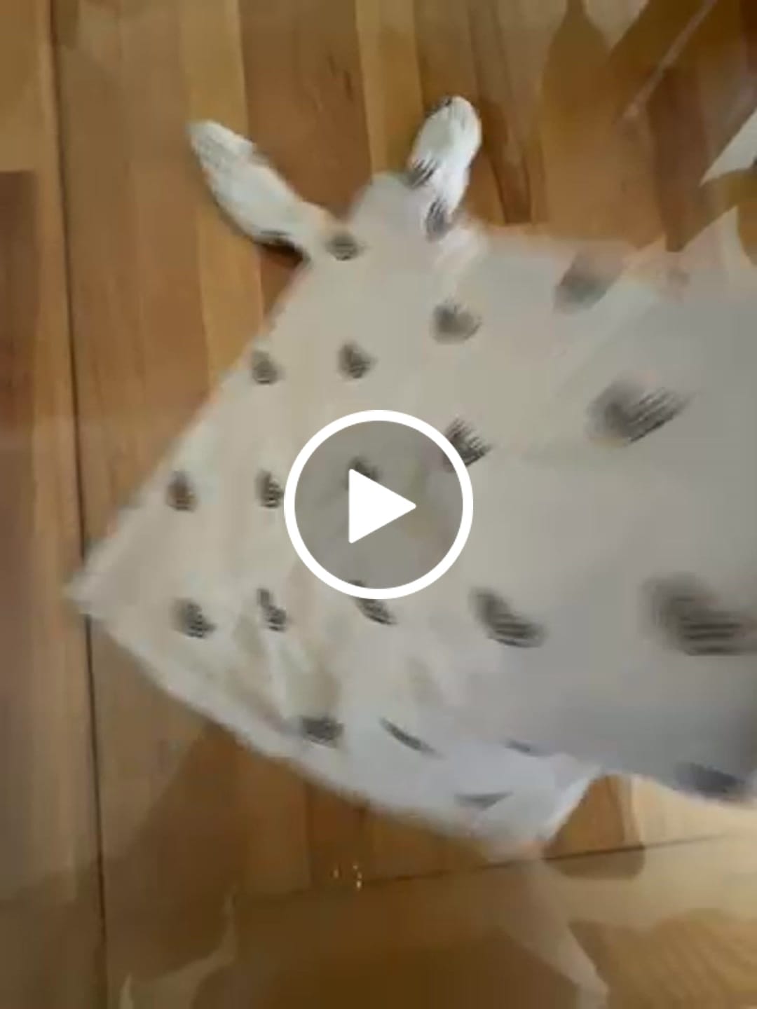 Customer video review of Pinpin - Doudou Lange Bébé