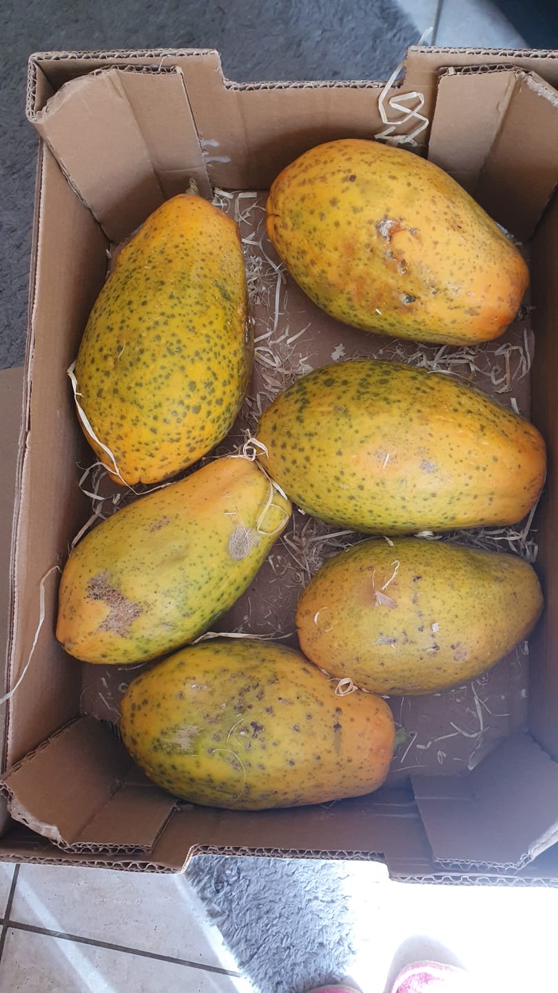 Customer photo review of Papaya Bio von Julian Wochenaktion %