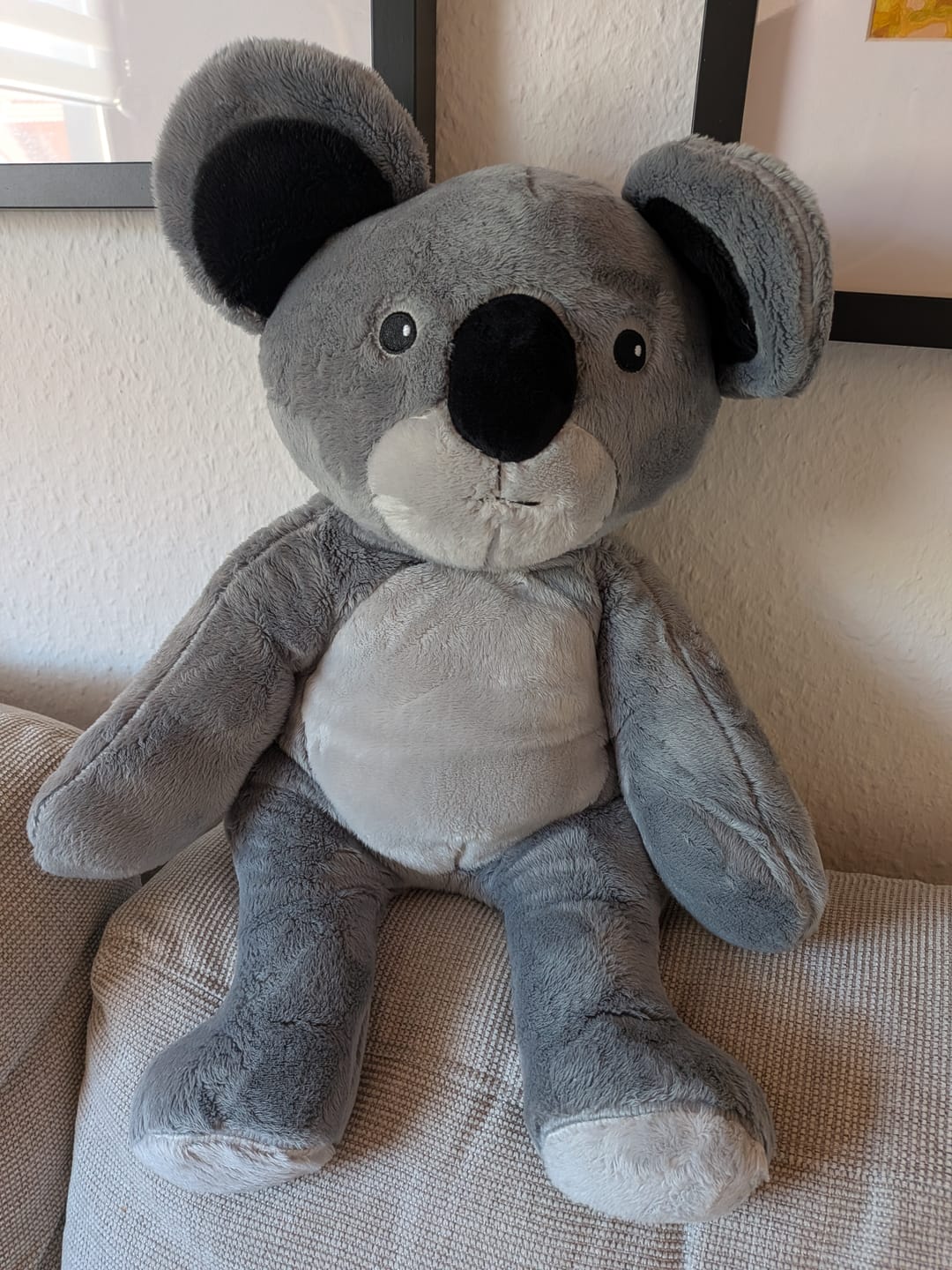 Customer photo review of Lotgenootje Koala 2kg