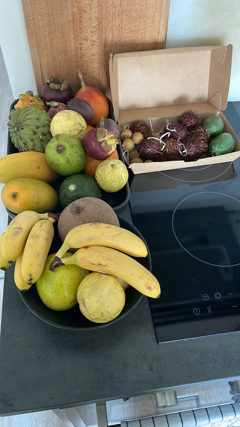 Customer photo review of Tropenreise Südamerika Box