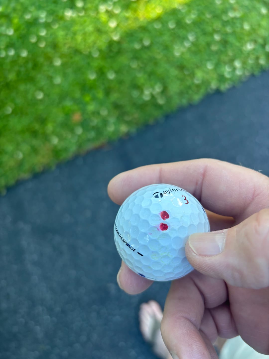 Customer photo review of Golf Pens