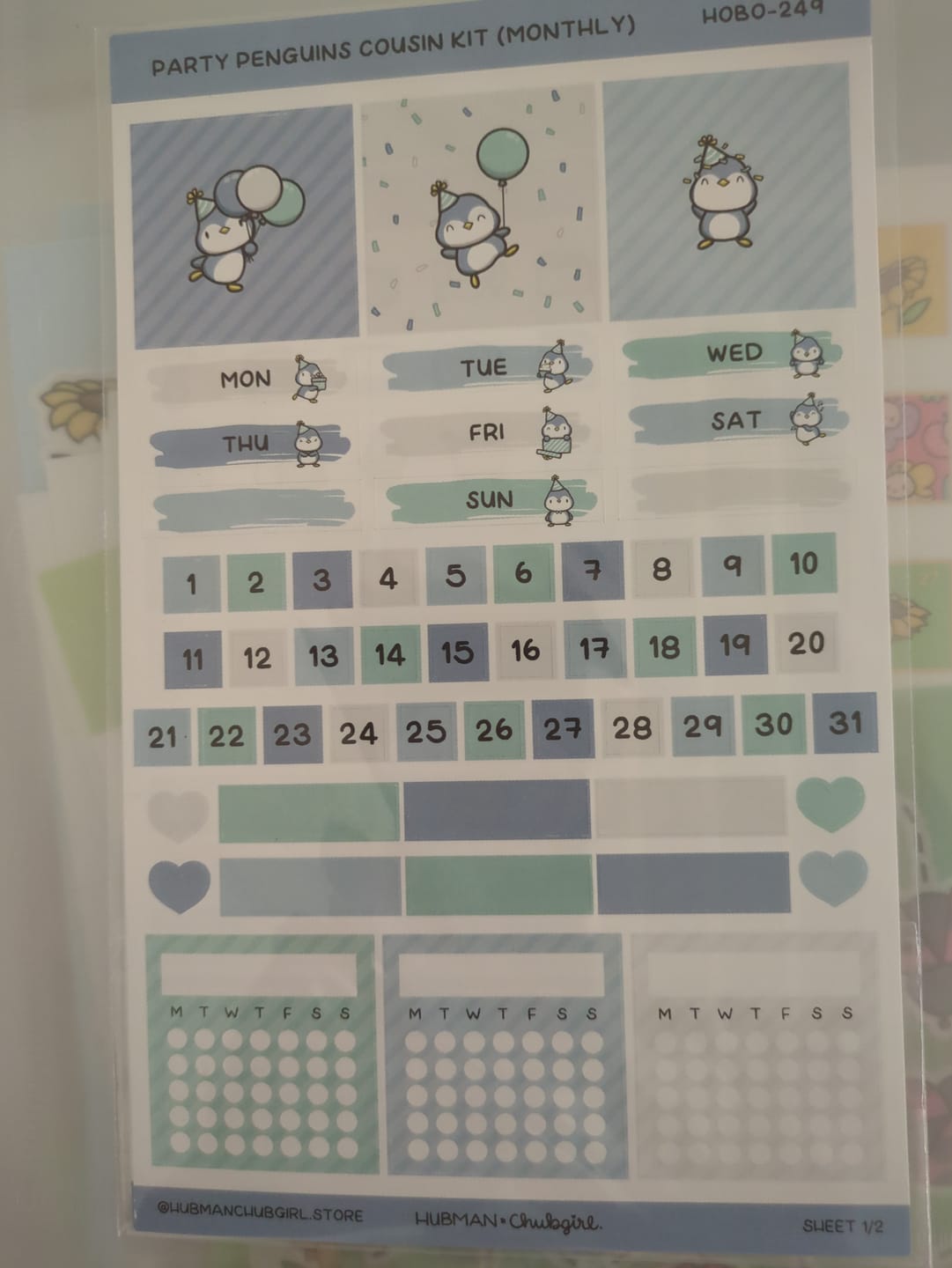 Customer photo review of Party Penguins Hobonichi Cousin Monthly Kit (Set of 2)