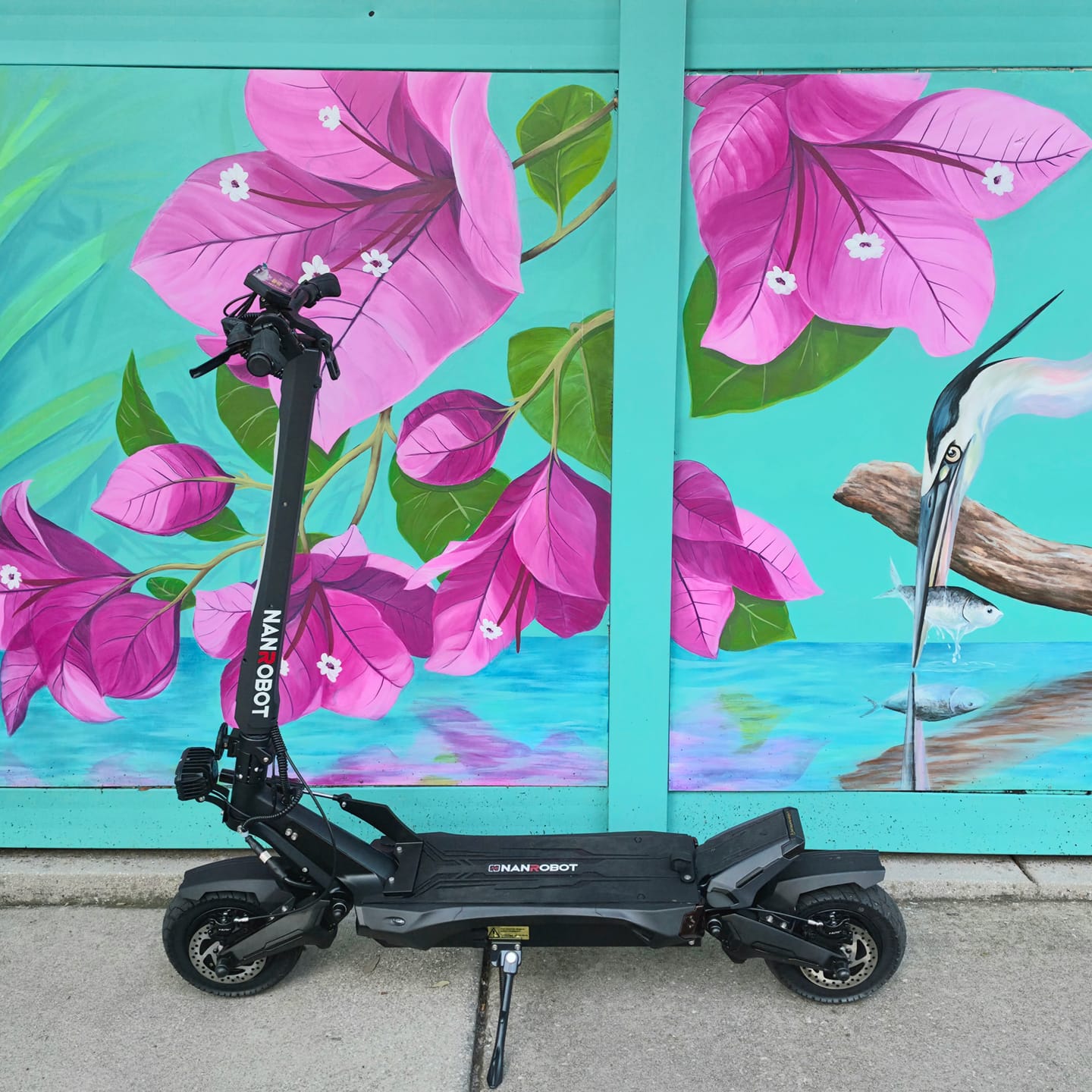 Customer photo review of NANROBOT N6 72V