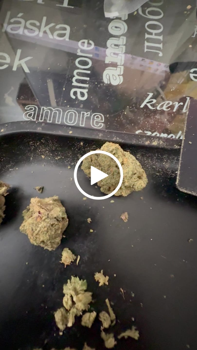 Customer video review of Biscotti THCA Flower (Premium)