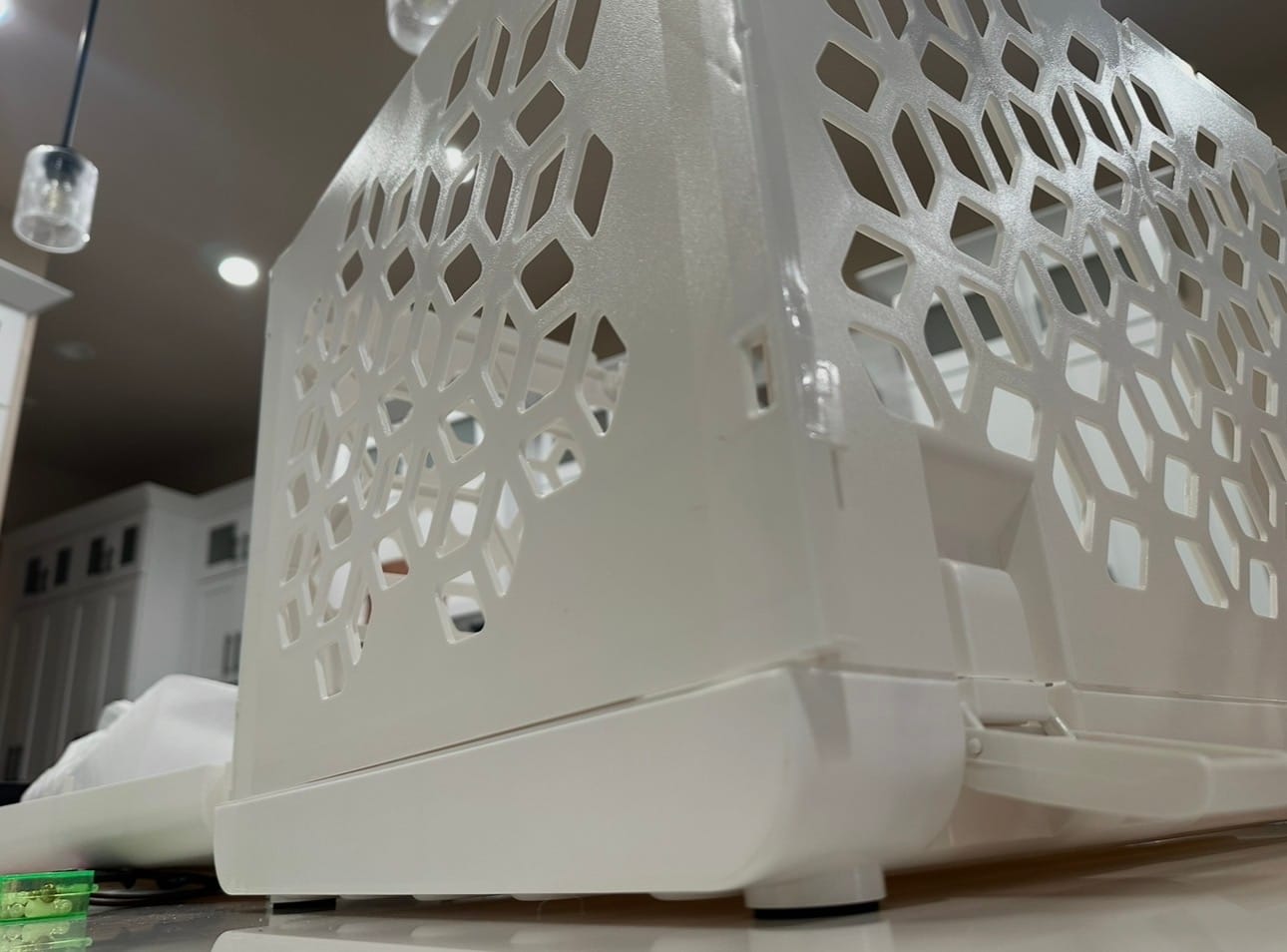 Customer photo review of PAWD®  Modern Collapsible Dog Crate