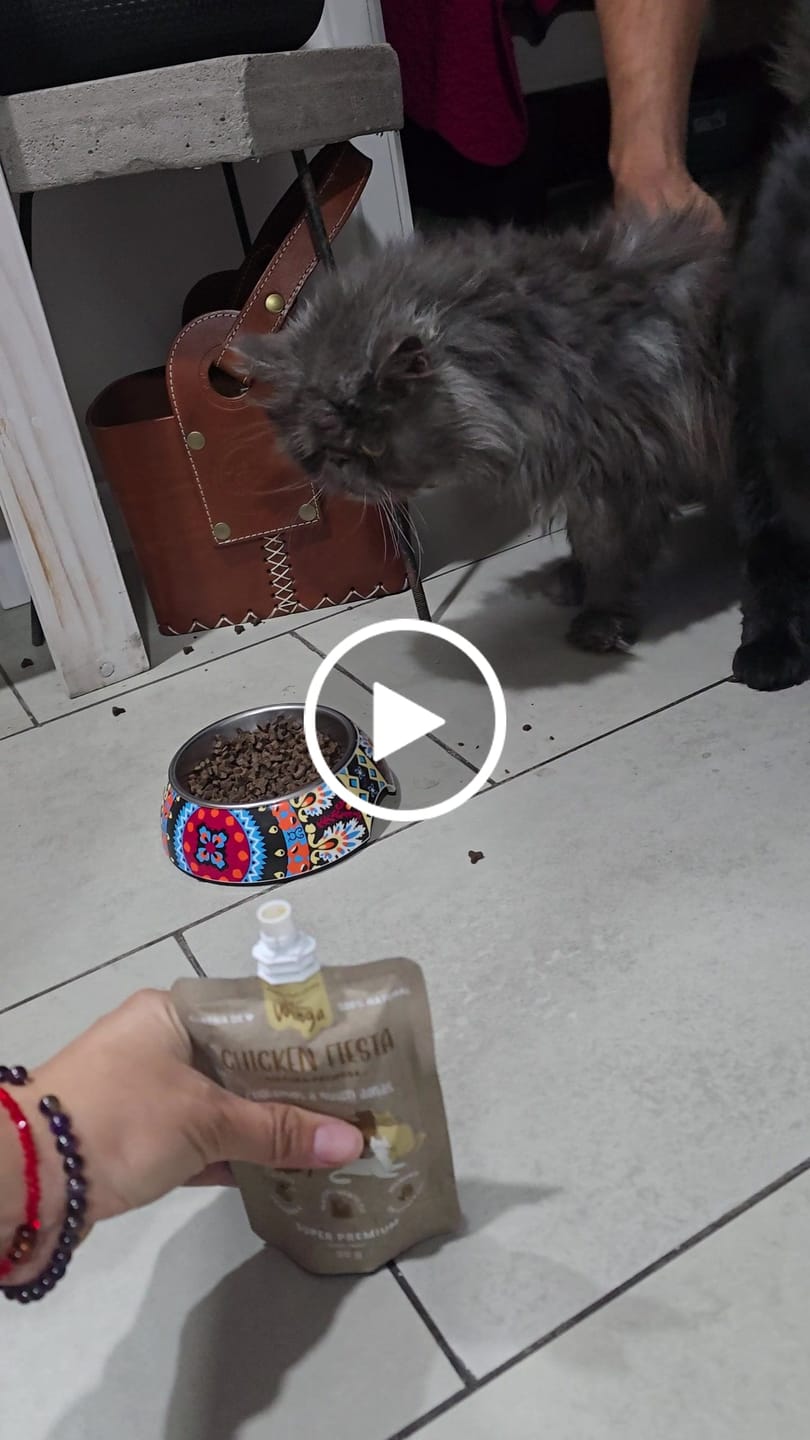 Customer video review of Chicken Fiesta Gatos