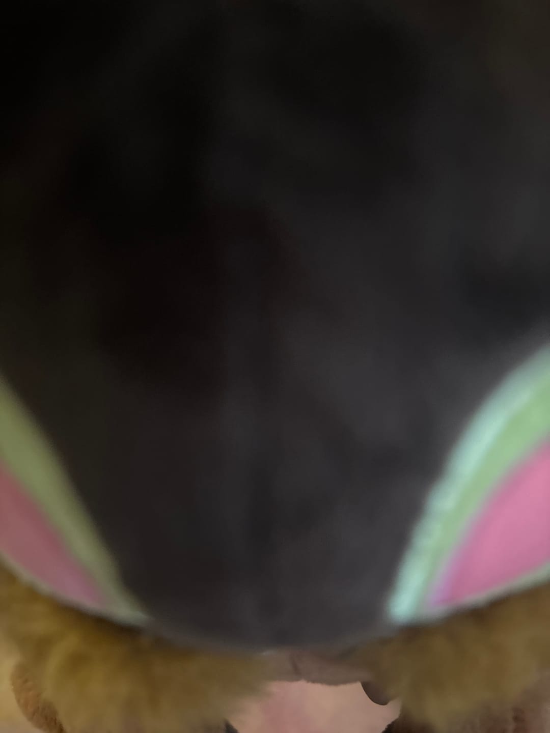 Customer photo review of Rain World - Brown Scavenger Plush