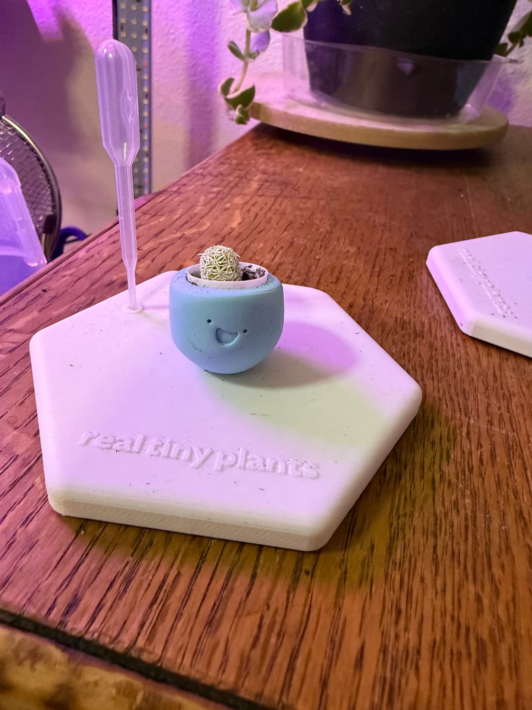 Customer photo review of Thimble Cactus Replacement Kit