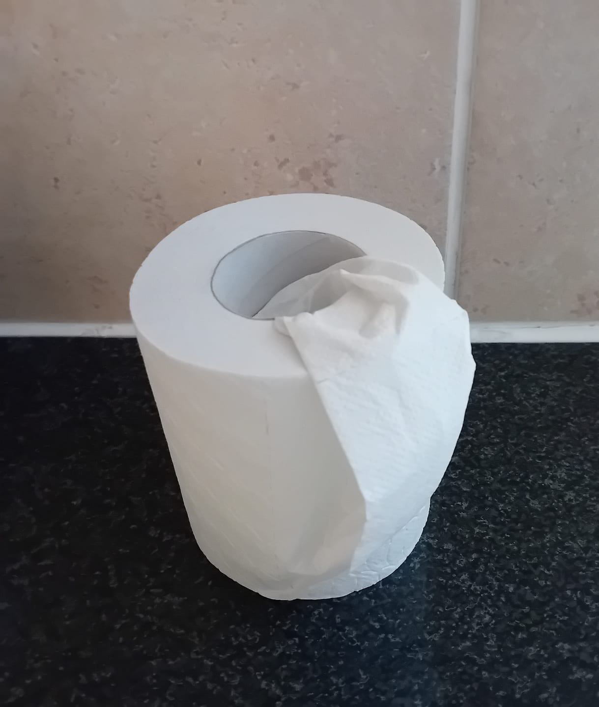 Customer photo review of 100% Recycled Toilet Paper