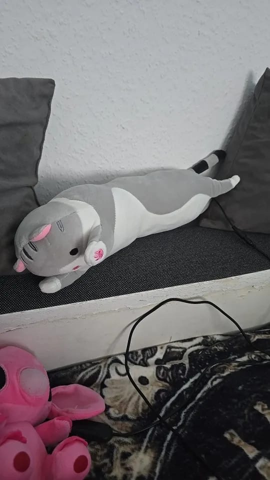 Customer photo review of Gatito Térmico