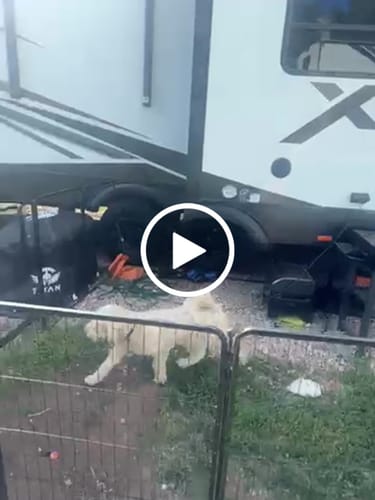 Customer video review of Bravo XL Cold Plunge Tub + Chiller Bundle