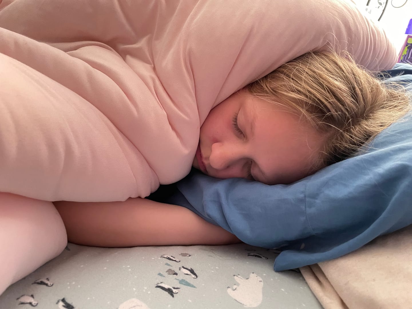 Customer photo review of Waterproof & Stain-Resistant Hotel Pillow