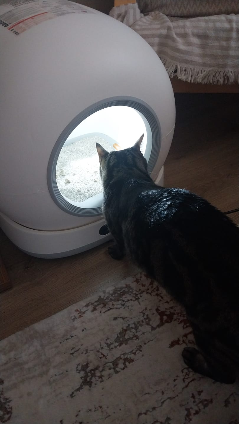 Customer photo review of Otomatik Kedi Tuvaleti | 72L, 7L Atık Hazneli, UV, Wifi, Mobil Kontrol, Akıllı Kedi Tuvaleti (X8624)