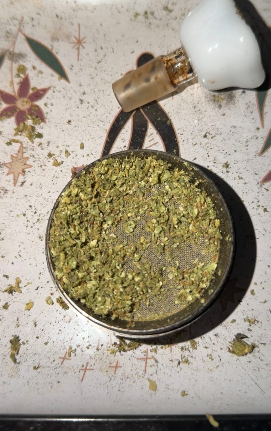 Customer photo review of Purple Push Pop -THCa Flower