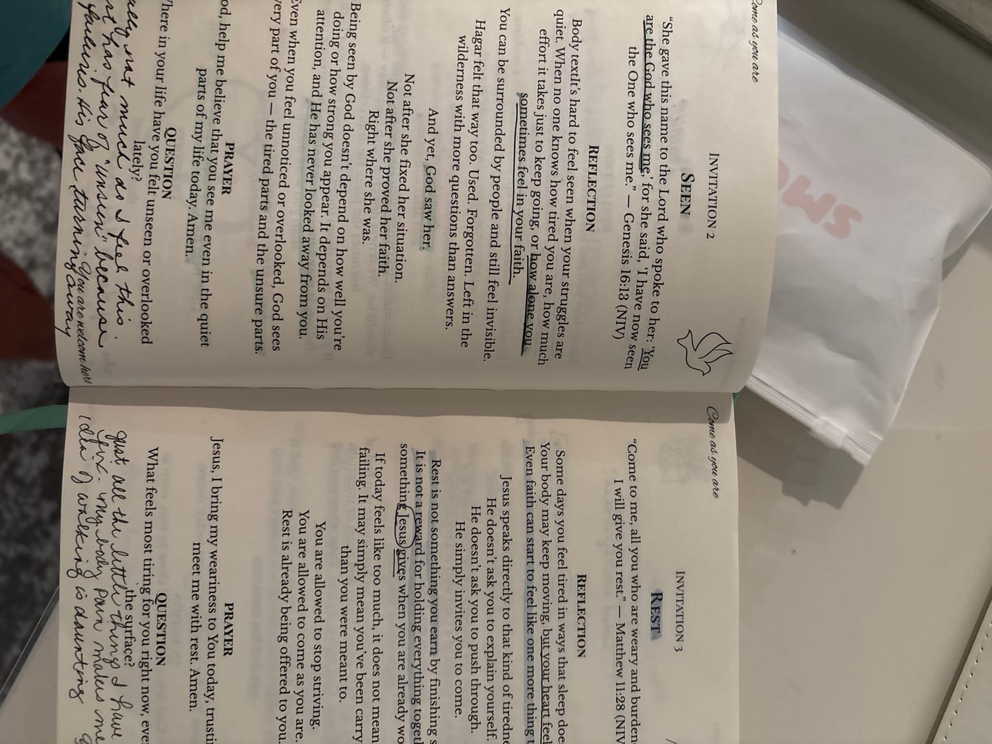 Customer photo review of Heavenly Highlighters