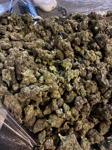 Super Runtz Mediums - Bulk Mediums - Hybrid photo review