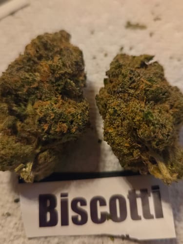 Customer's two dense Biscotti buds from the Dessert Bundle, showing dark green and orange colors.