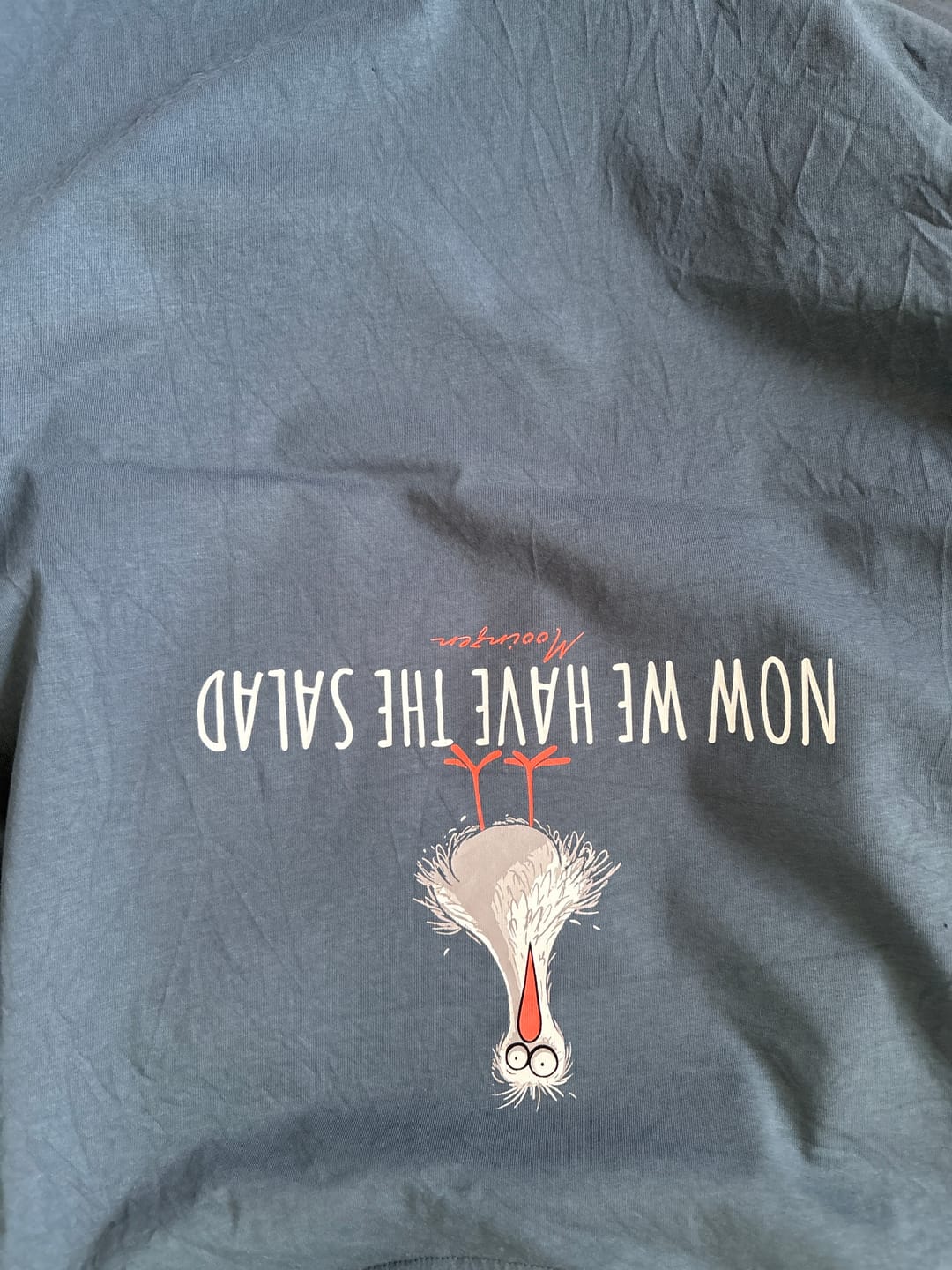 Customer photo review of Now we have the Salad · Unisex Premium Bio T-Shirt
