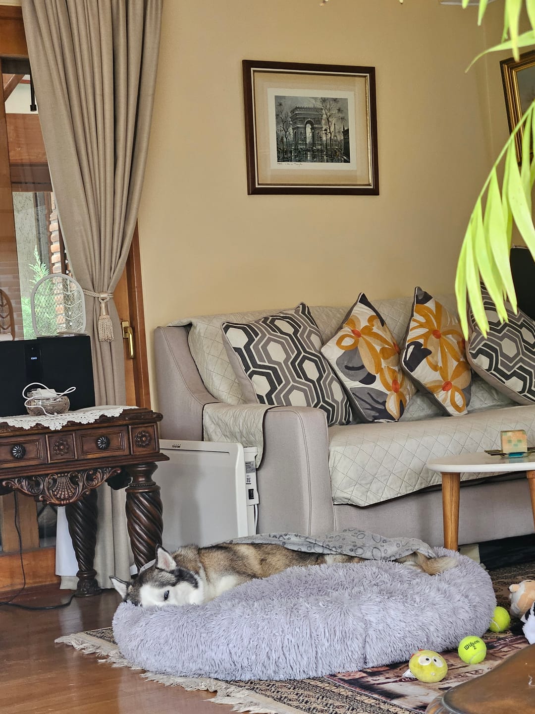 Customer photo review of Cama Anti-Estrés THE DOGS — Menos ansiedad, más descanso