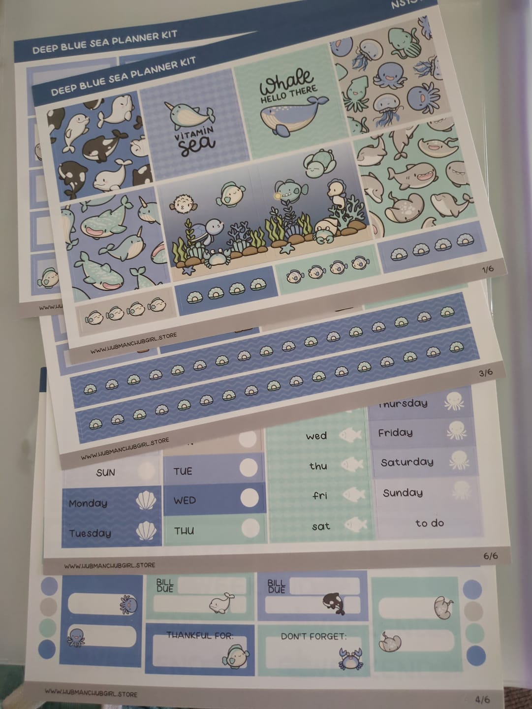 Customer photo review of Deep Blue Sea Planner Kit (Set of 6)