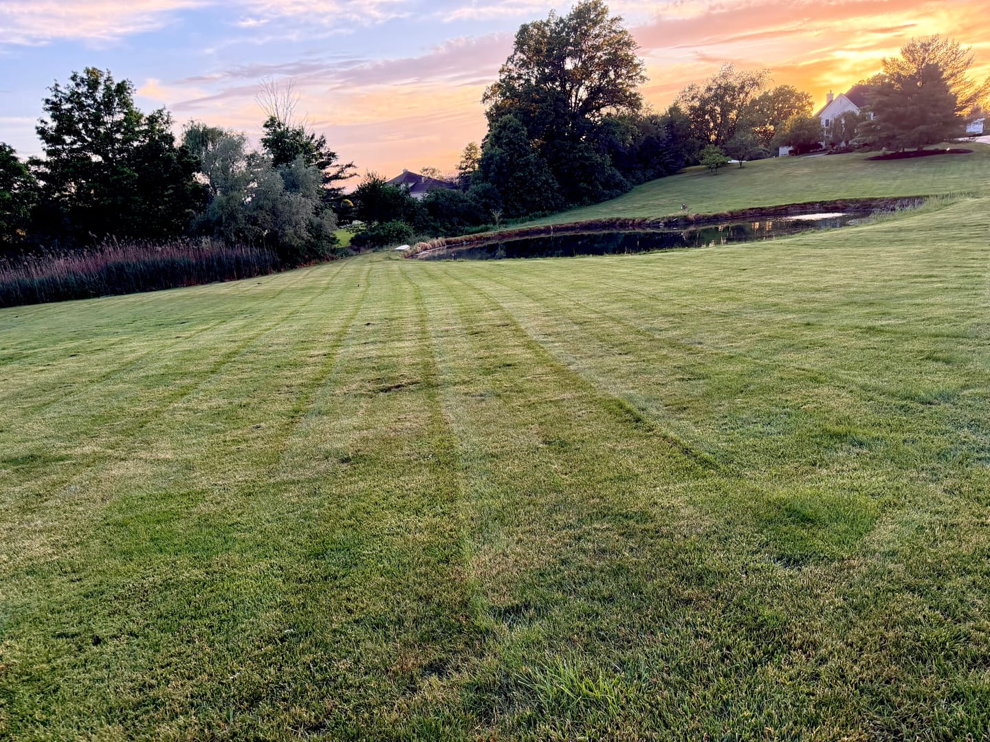 Customer photo review of Broominator — Turn Any Mower Into a Striping Machine