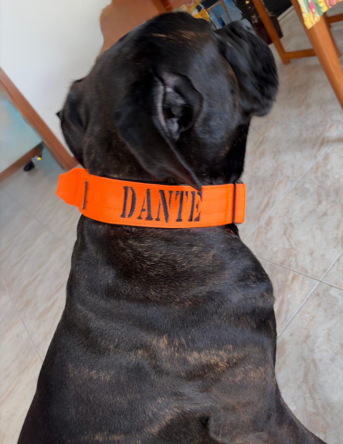 Customer photo review of Personalizzazione prodotto