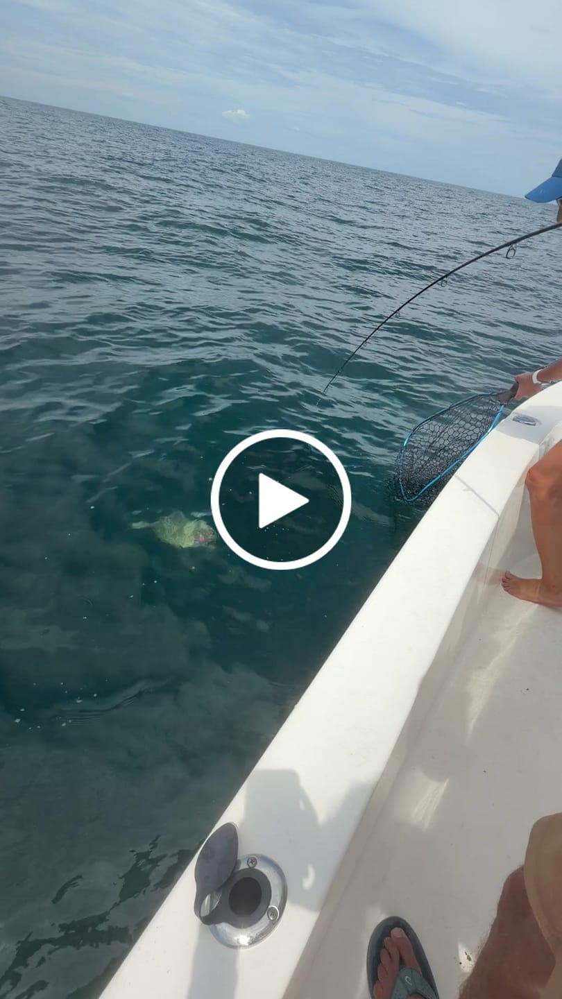 Customer video review of Avail Atlas 7' Offshore Spinning Rod