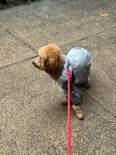 Customer photo review of Lightweight Rain Suit | All-Weather Essential