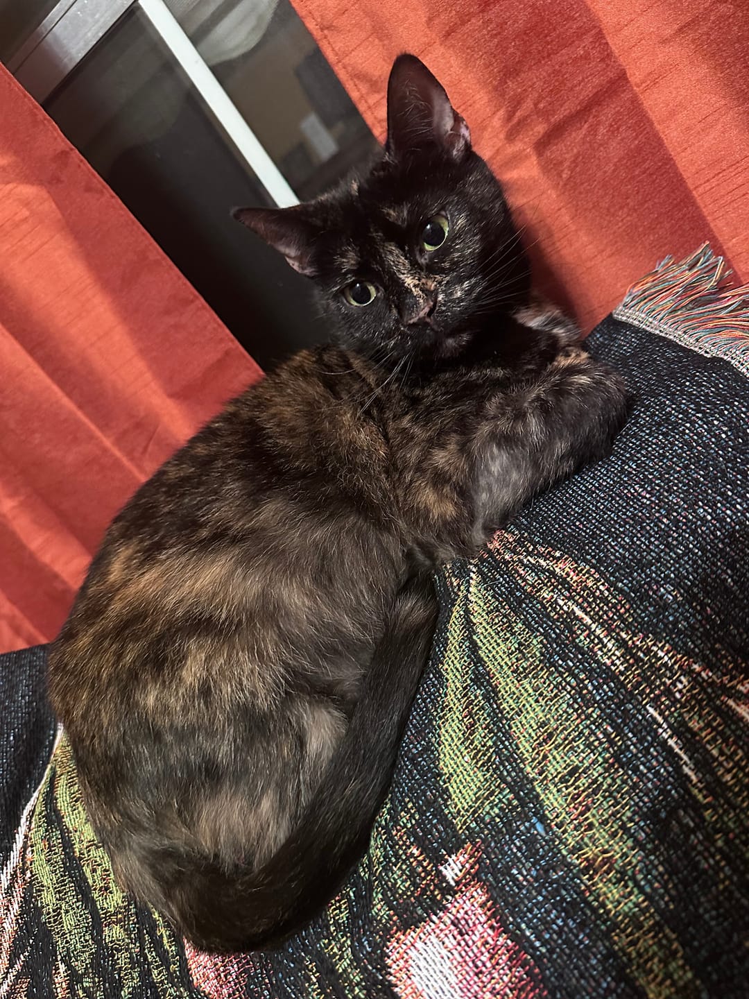 Customer photo review of ZODIAC TAPESTRY