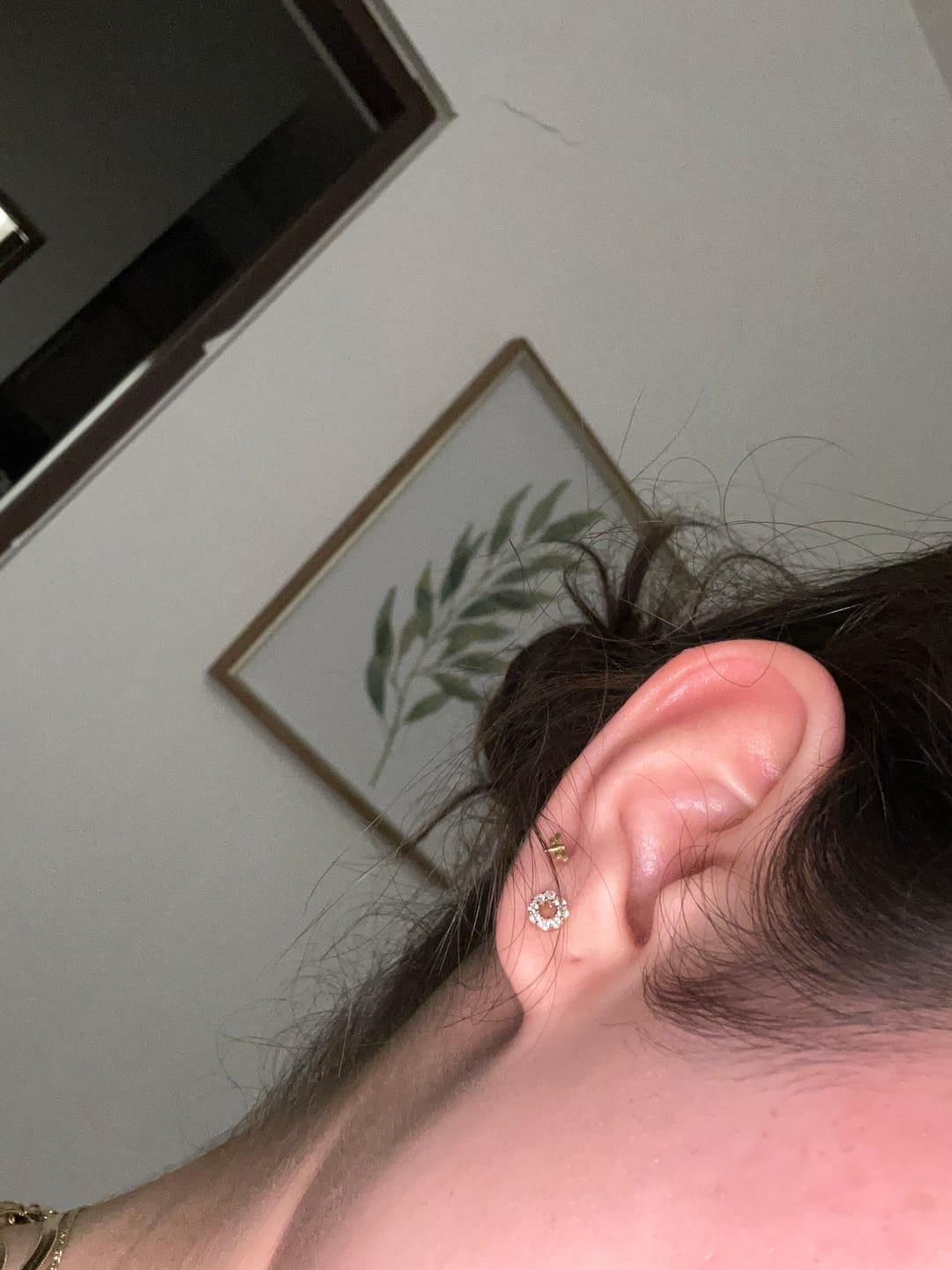 Customer photo review of Aretes Primera Perforacion Titanio
