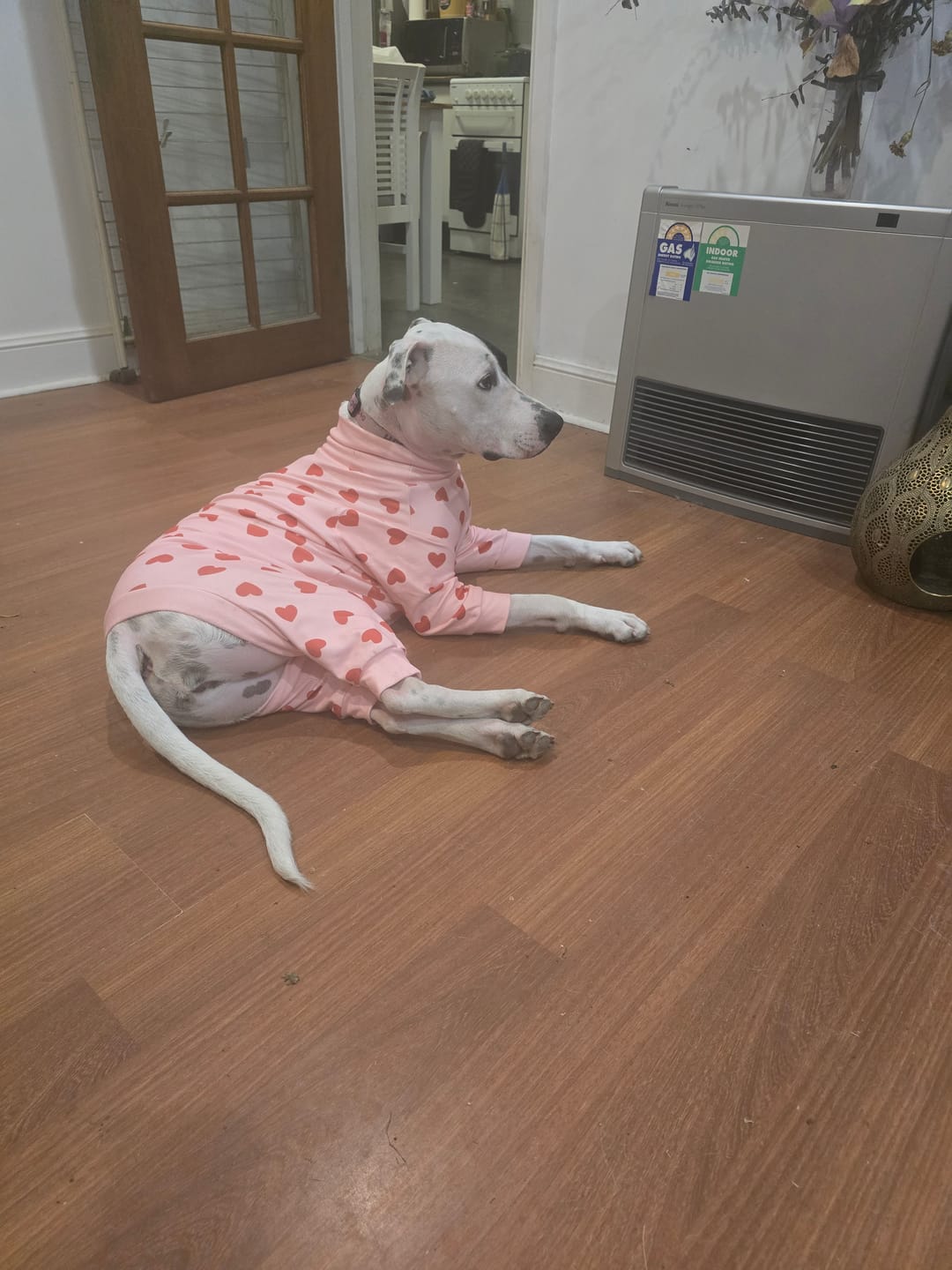 Customer photo review of Dog Pajama - Pink Hearts