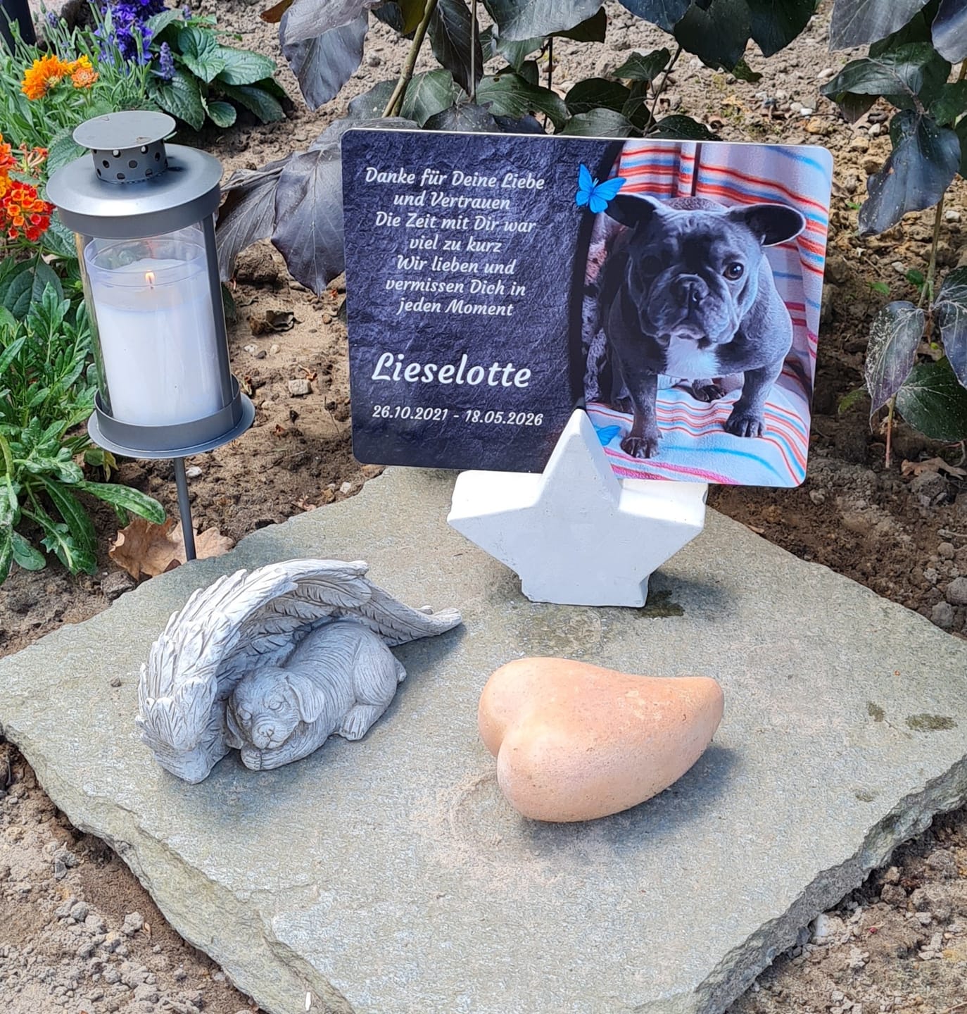 Customer photo review of Hunde Gedenktafel mit Foto & Spruch (UV- & Wetterfest)